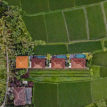 Airsania Ubud Antique Villas Buitenkant foto