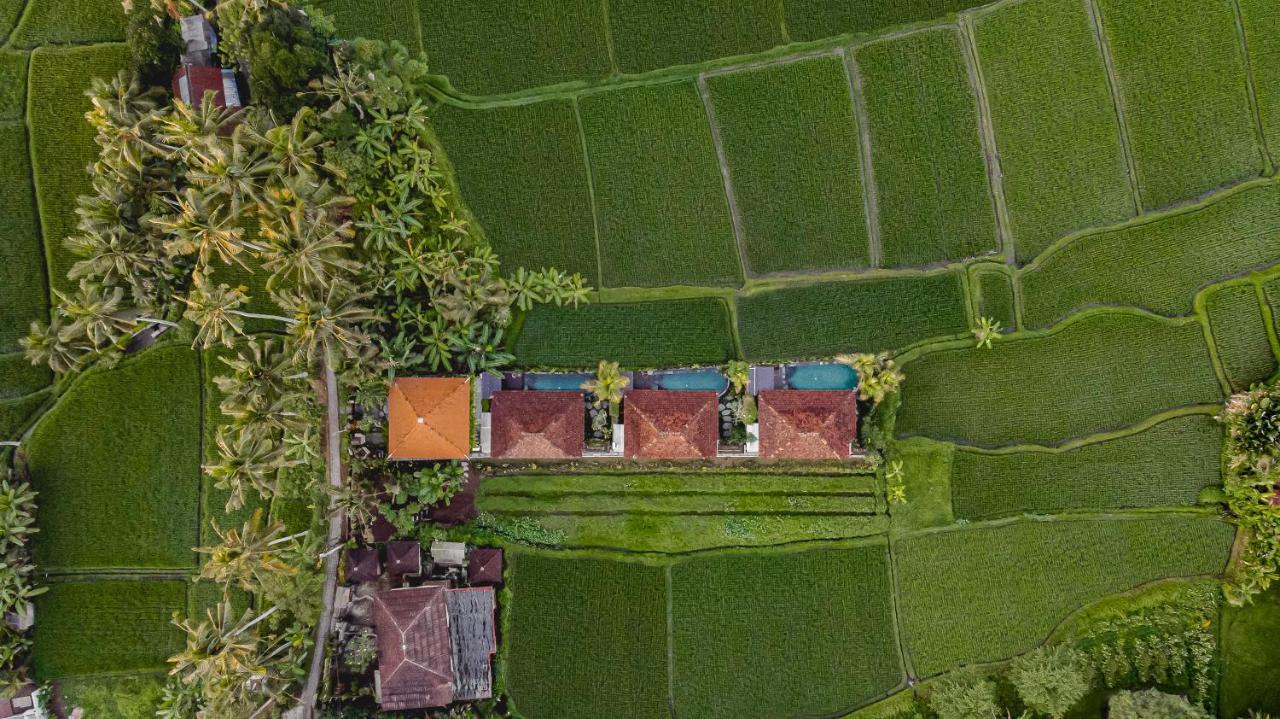 Airsania Ubud Antique Villas Buitenkant foto